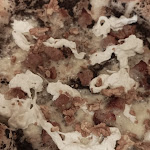 Photo n°1 de l'avis de Sergio.e fait le 09/09/2023 à 21:09 sur le  La Bodeguita | Trattoria Pizzeria à Calimera