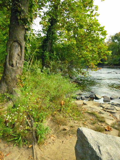State Government Office «Wilmington State Parks», reviews and photos, 1021 W 18th St, Wilmington, DE 19802, USA