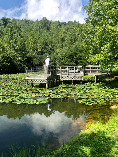 Cabin Rental Agency «Lydia Mountain Lodge & Log Cabins», reviews and photos, 426 Mountain Laurel Pass, Stanardsville, VA 22973, USA