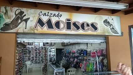 Calzado Moisés