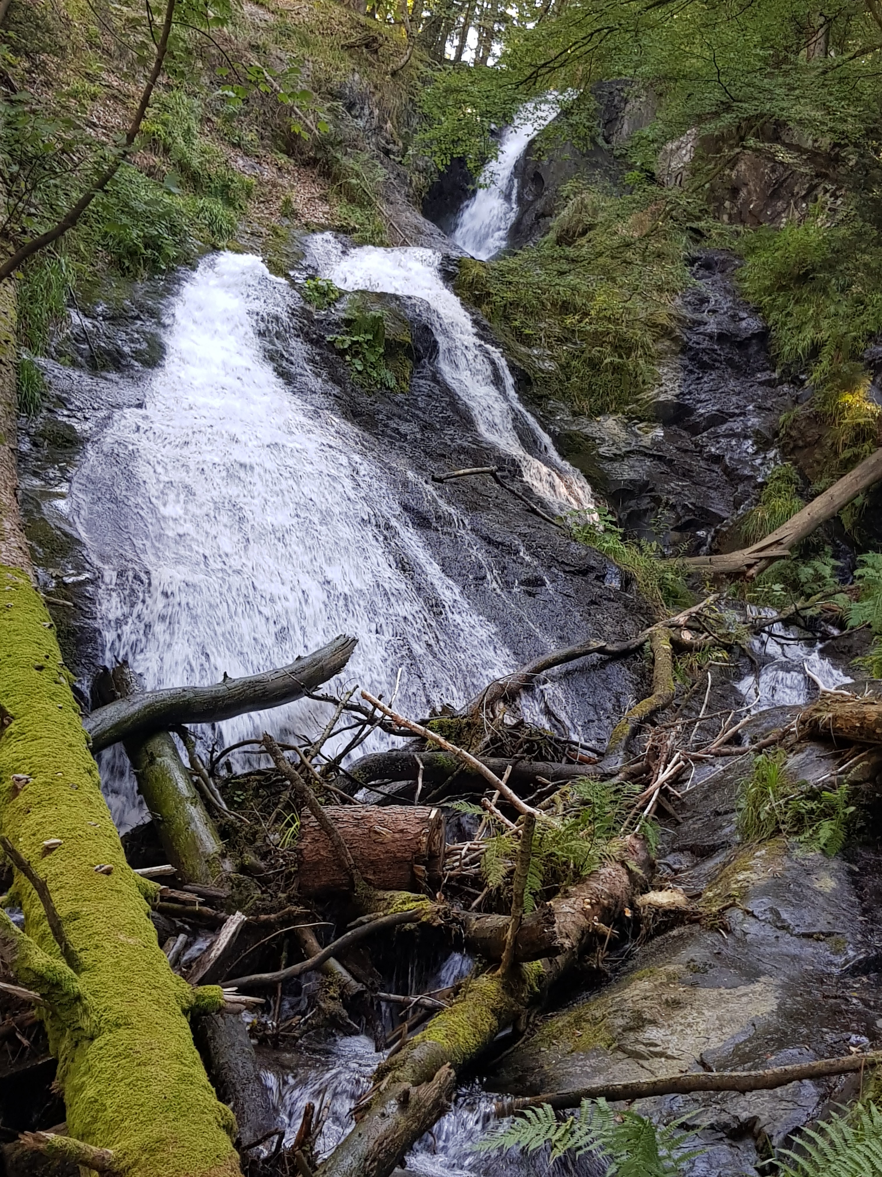 Photo n° 3 de l'avis de Sophie.c fait le 12/09/2019 à 15:42