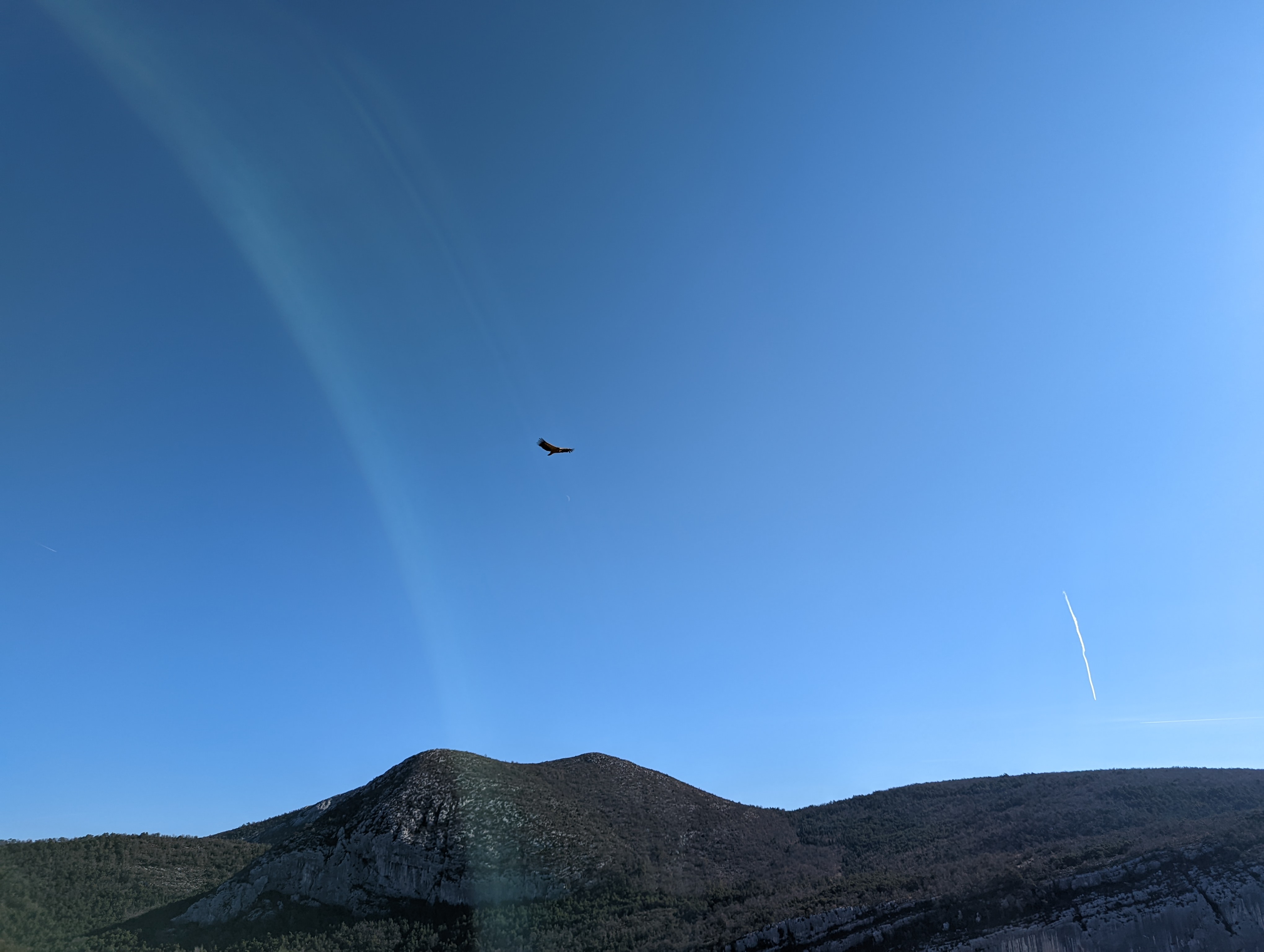 Photo n° 5 de l'avis de Henning.e fait le 05/02/2022 à 15:21