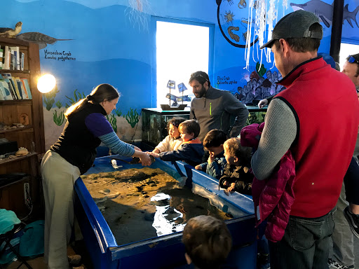 Aquarium «Glen Echo Park Aquarium», reviews and photos, 7300 MacArthur Blvd, Glen Echo, MD 20812, USA
