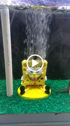 Pet Supply Store «D & D Pet Center», reviews and photos, 8813 Michigan Ave, Detroit, MI 48210, USA