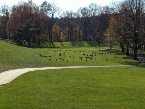 Golf Course «Crab Meadow Golf Course», reviews and photos, 220 Waterside Rd, Northport, NY 11768, USA