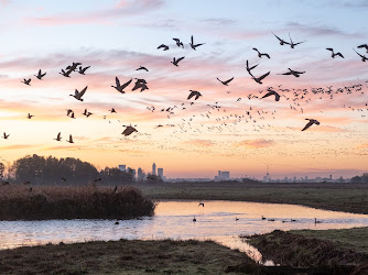 Vogelkijkplaats Ackerdijkse Plassen