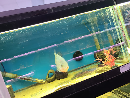 Pet Store «World of Wet Pets», reviews and photos, 8542 SW Apple Way, Portland, OR 97225, USA