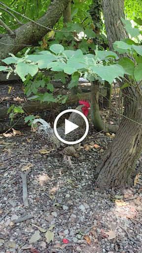 Farm «Beach Plum Farm», reviews and photos, 140 Stevens St, Cape May, NJ 08204, USA