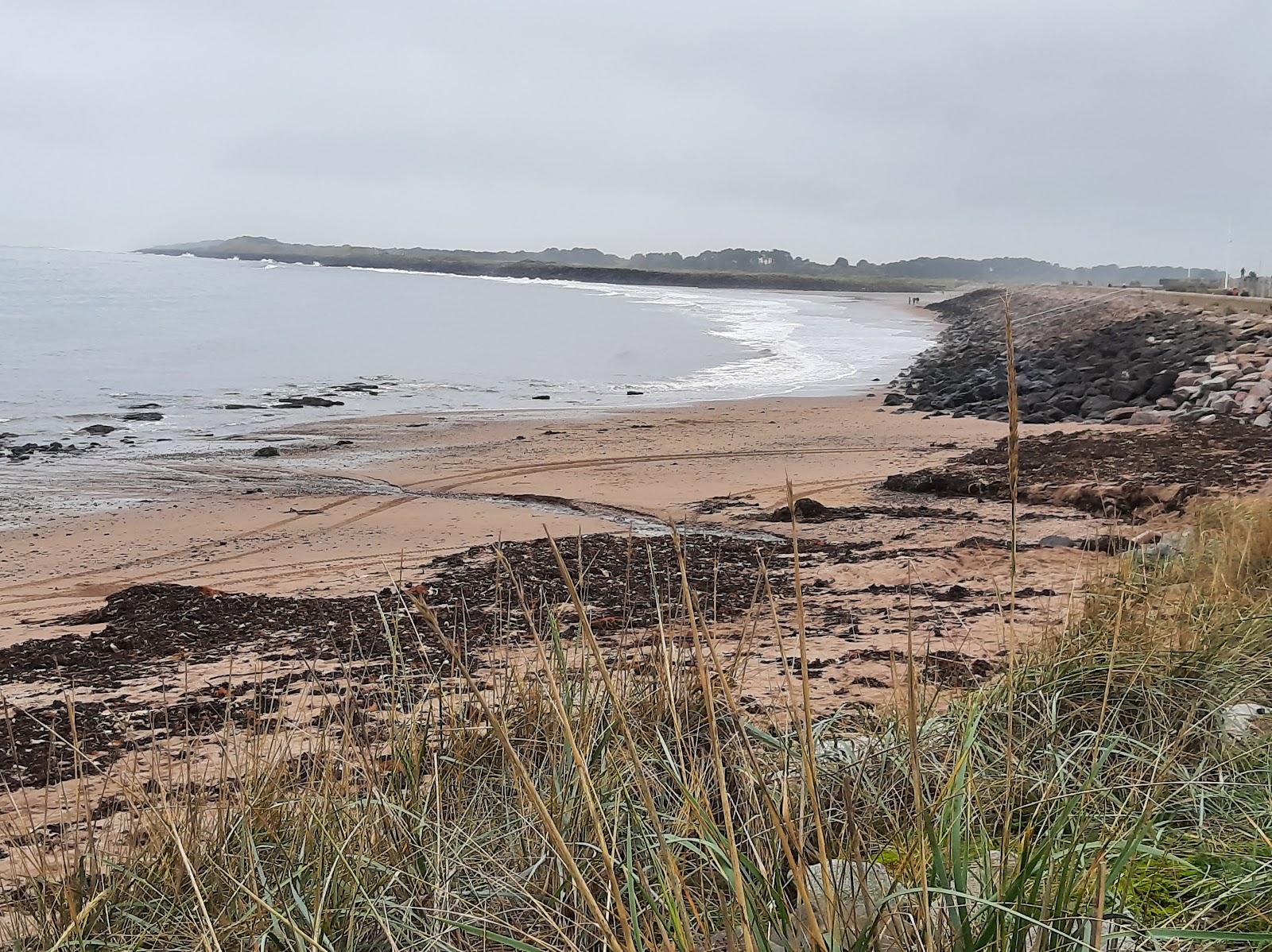 Photo de Carnoustie Beach - endroit populaire parmi les connaisseurs de la détente