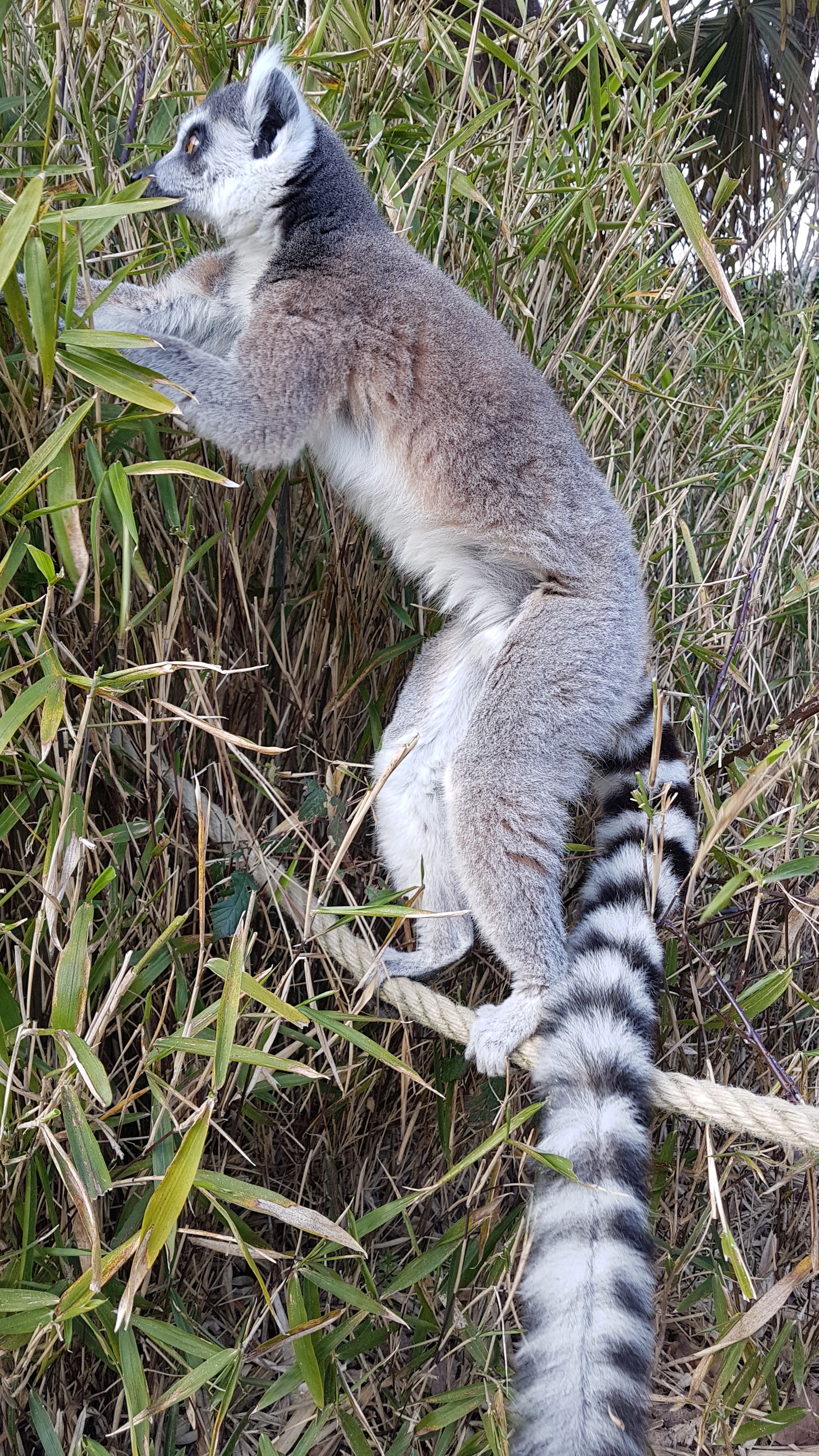 Photo n° 13 de l'avis de PA.A fait le 09/03/2019 à 12:19