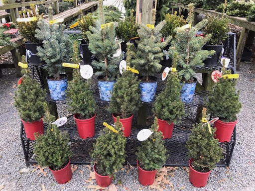 Garden Center «Nalls Produce», reviews and photos, 7310 Beulah St, Alexandria, VA 22315, USA