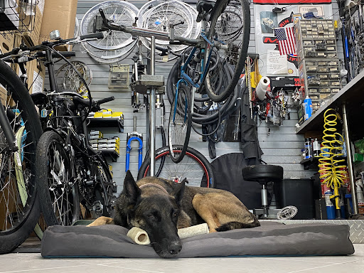 Bicycle Store «Revolution Bicycle Services», reviews and photos, 3444 Main Hwy #16, Miami, FL 33133, USA