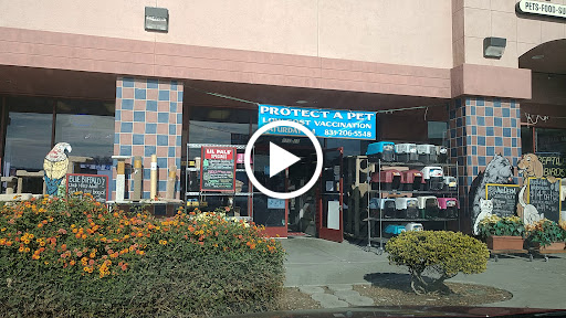 A Pet World, 401 McCray St, Hollister, CA 95023, USA, 