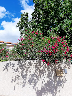 TERRAE Patrimoine à Le Bouscat