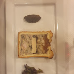 Photo n° 1 de l'avis de emmanuel.h fait le 27/01/2023 à 07:15 pour Daniel et Denise Créqui - Bouchon Lyonnais à Lyon