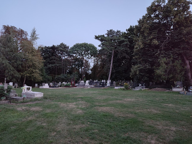 Értékelések erről a helyről: Református temető, Sárospatak - Temetkezési vállalkozás