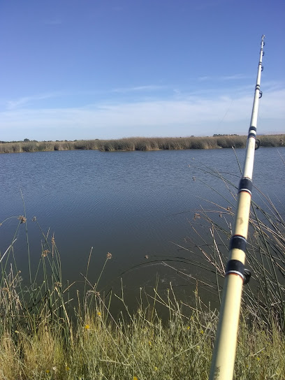Los Banos Waterfowl Management Area