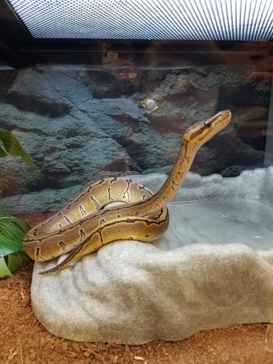 Pet Supply Store «Petco Animal Supplies», reviews and photos, 10 Sylvan St, Peabody, MA 01960, USA