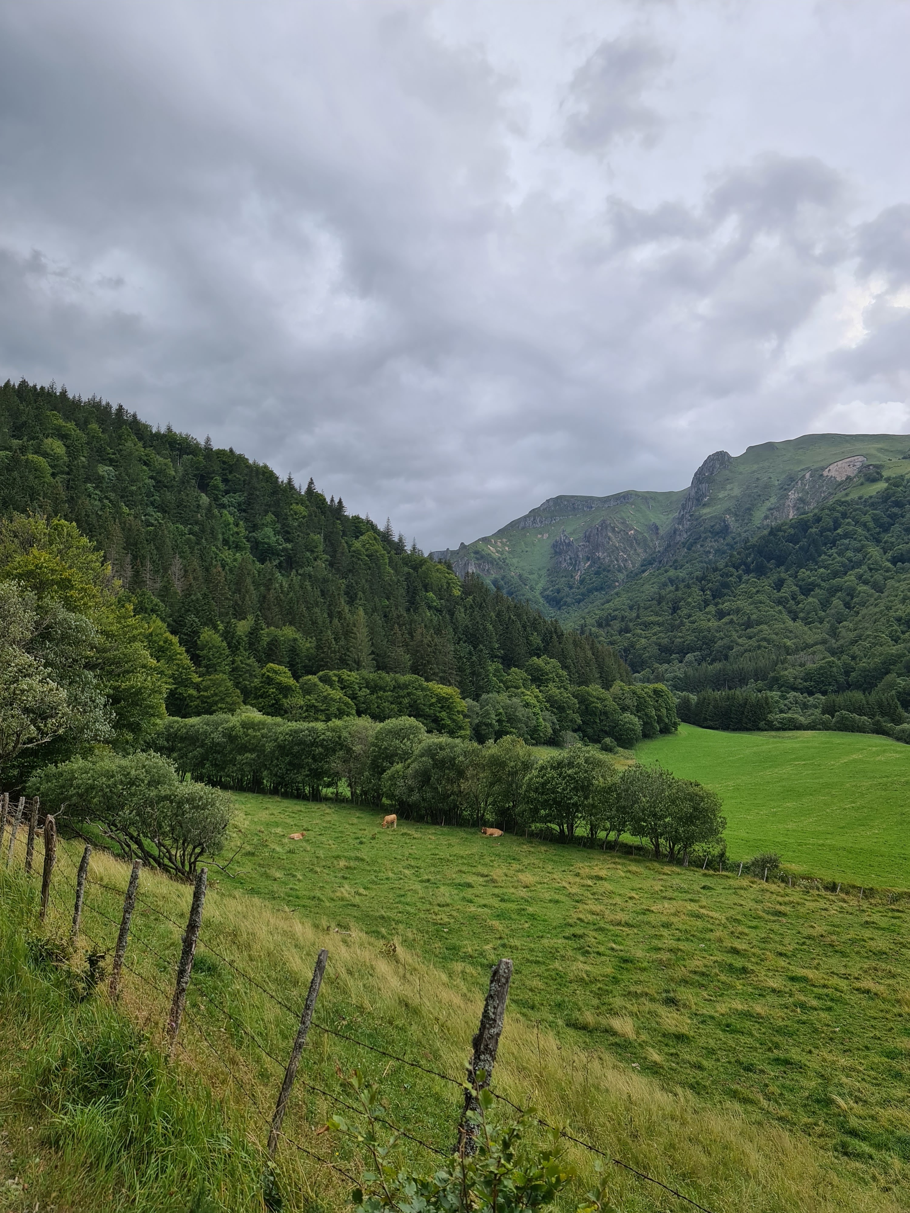 Photo n° 1 de l'avis de julien.n fait le 12/08/2021 à 18:57