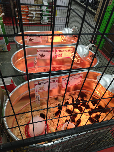 Home Improvement Store «Tractor Supply Co.», reviews and photos, 1161 Broadway, Bangor, ME 04401, USA