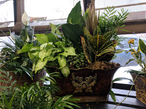 Florist «Longmont Florist, Inc.», reviews and photos, 614 Coffman St, Longmont, CO 80501, USA