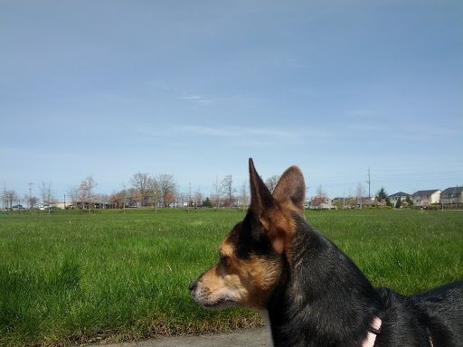 Park «Reedville Creek Park», reviews and photos, 7500 SE Frances St, Hillsboro, OR 97123, USA