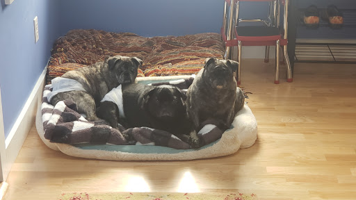 Pet Supply Store «PetSmart», reviews and photos, 1276 Bald Hill Rd, Warwick, RI 02886, USA