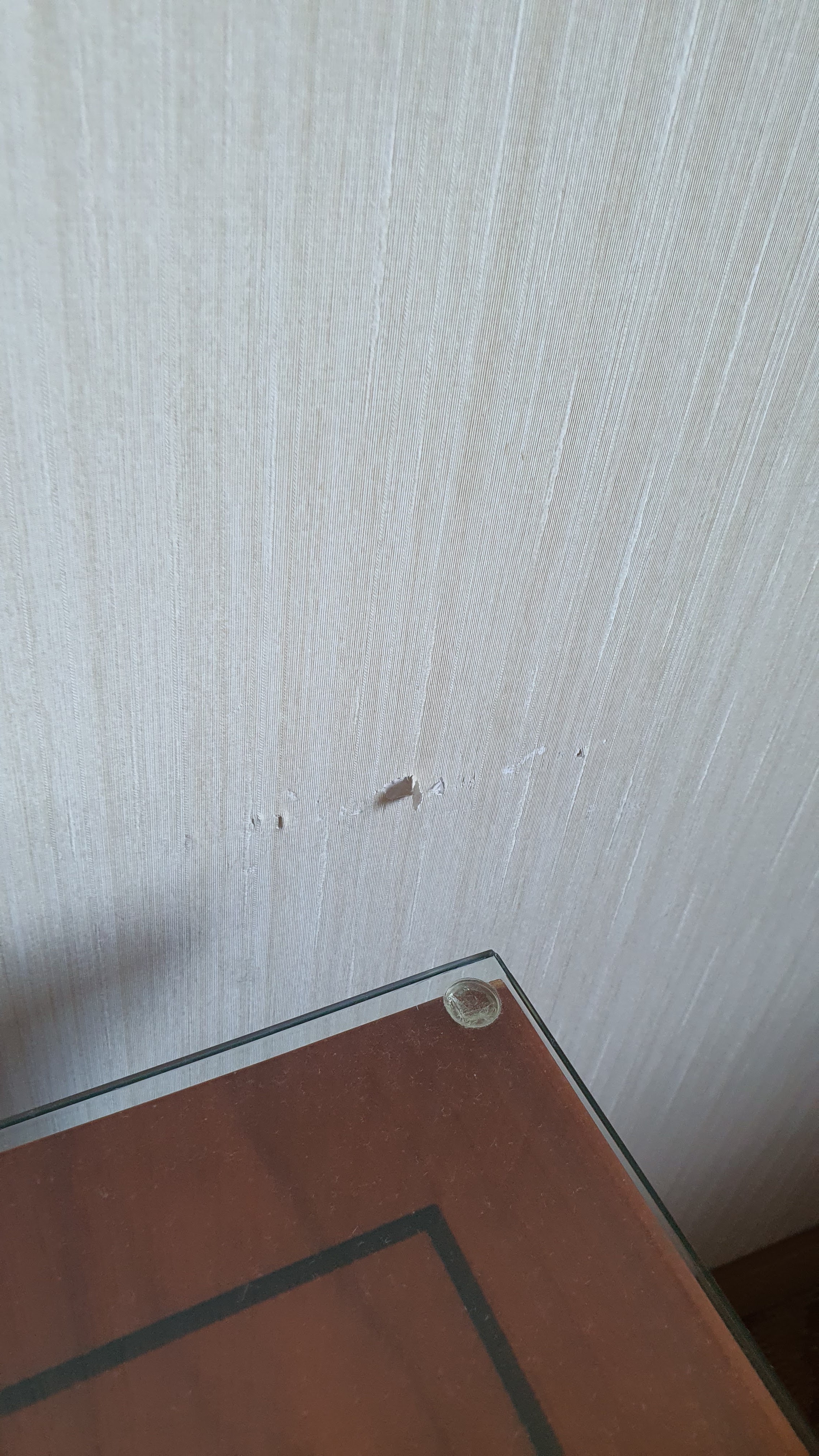 Photo n° 3 de l'avis de H. fait le 18/09/2023 à 16:55