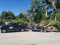 Sea Dreams Landscape Design - Photo 9 - Car repair in , Clearwater