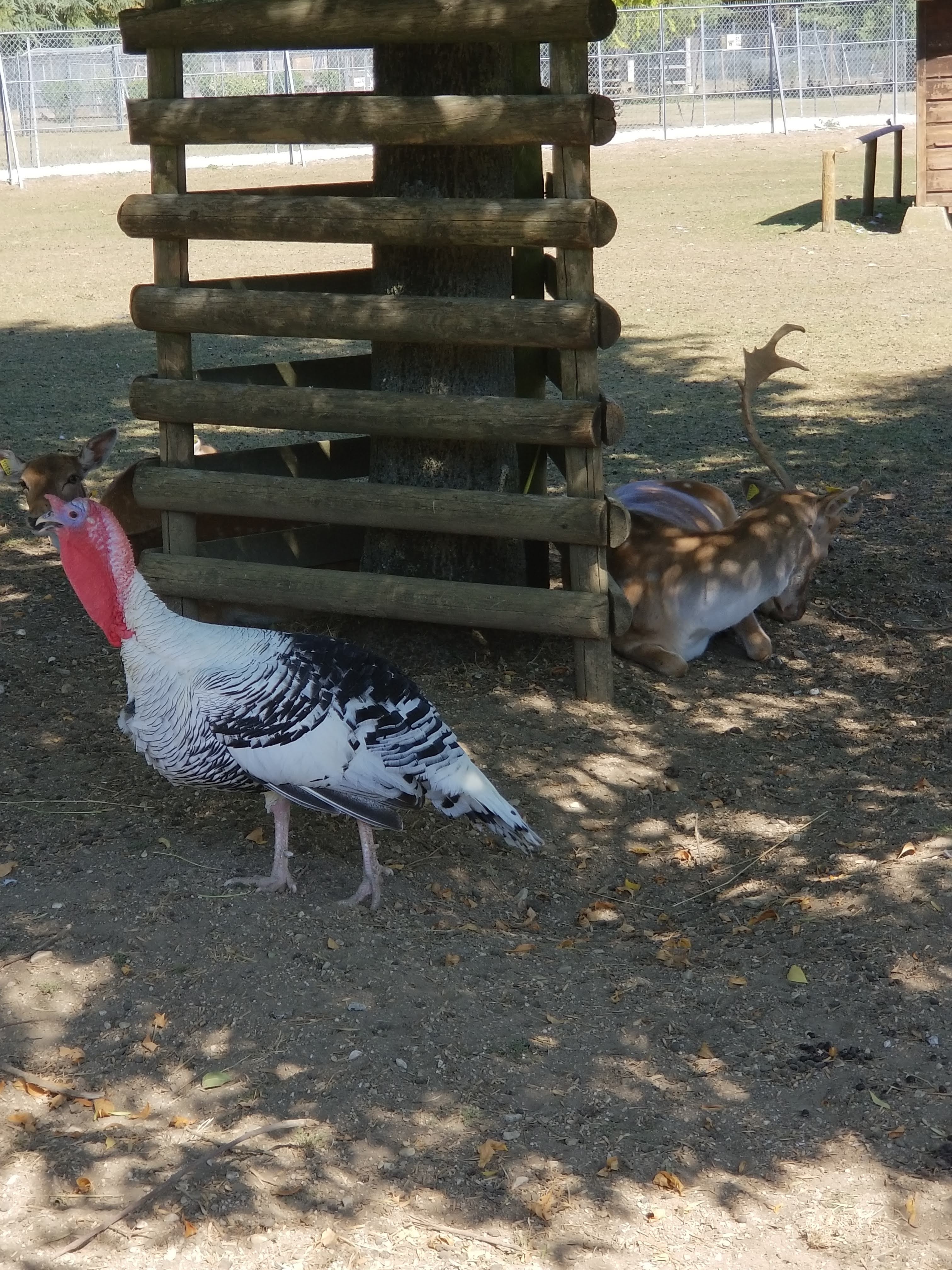 Photo n° 2 de l'avis de Rodney.e fait le 13/09/2018 à 14:49