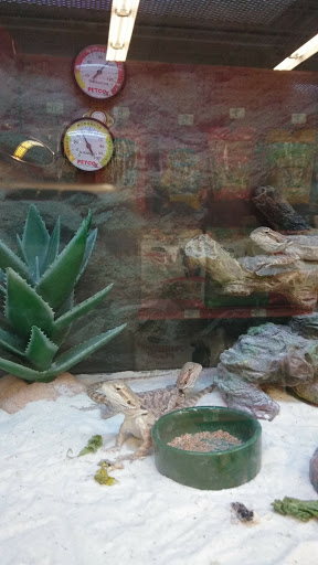 Pet Supply Store «Petco Animal Supplies», reviews and photos, 13127 N Dale Mabry Hwy, Tampa, FL 33618, USA