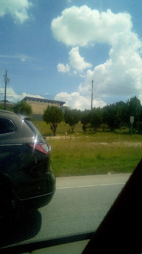 Coffee Shop «Starbucks», reviews and photos, 12400 TX-71, Austin, TX 78738, USA