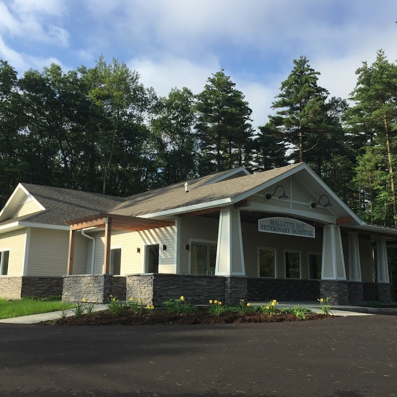 Malletts Bay Veterinary Hospital