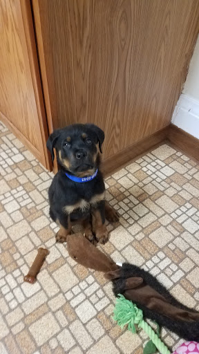 Pet Supply Store «K9 Kibble LLC», reviews and photos, 5535 6th Ave, Kenosha, WI 53140, USA