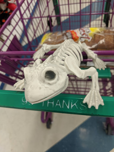 Discount Store «99 Cents Only Stores», reviews and photos, 24200 Lyons Ave, Newhall, CA 91321, USA