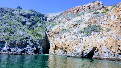 National Park «Channel Islands National Park», reviews and photos