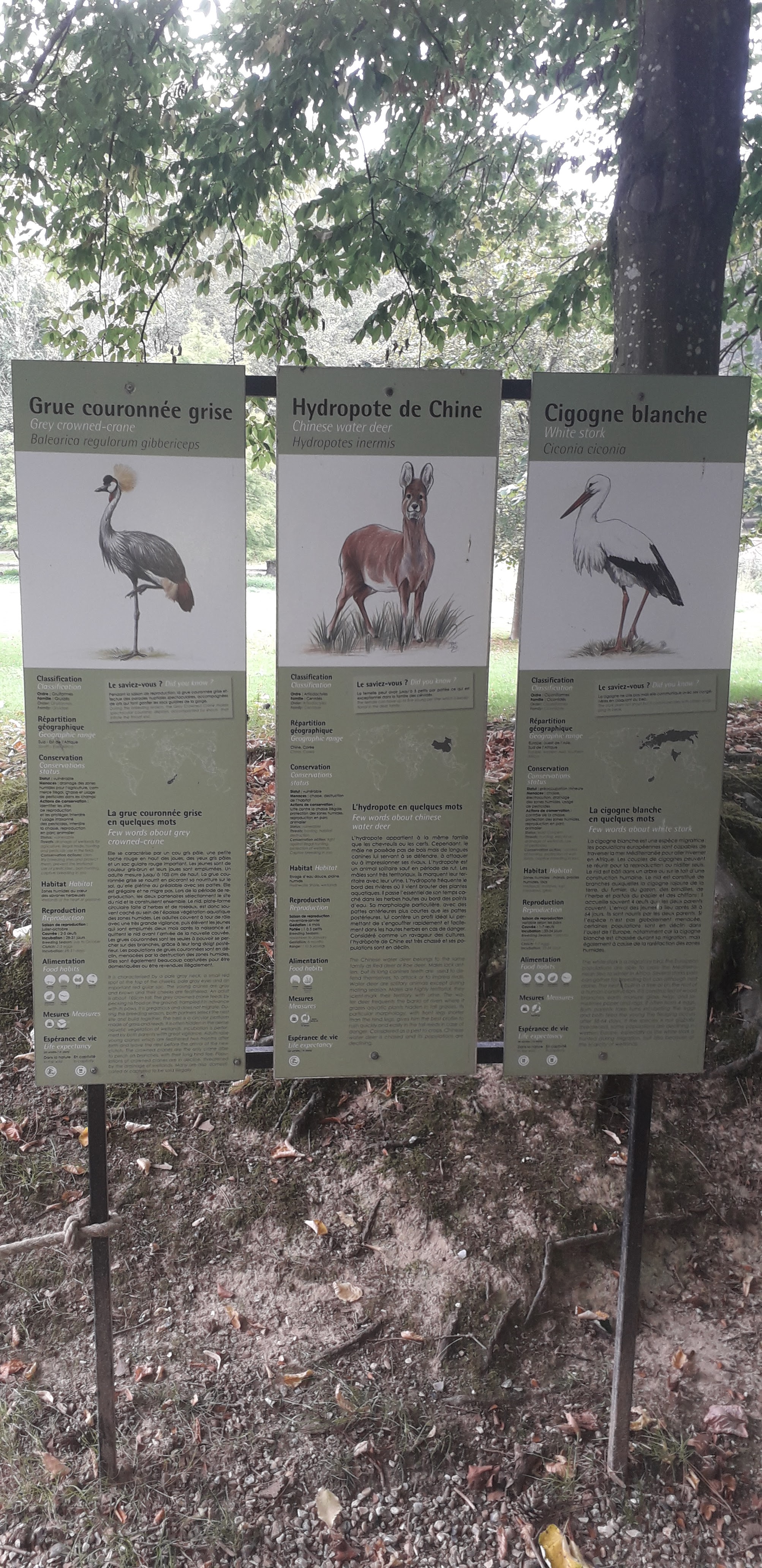 Photo n° 6 de l'avis de lilou.i fait le 19/09/2020 à 16:48