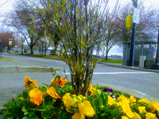 Park «Mill Ends Park», reviews and photos, 56 SW Taylor St, Portland, OR 97204, USA