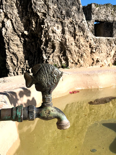 Tourist Attraction «Coral Castle», reviews and photos, 28655 S Dixie Hwy, Homestead, FL 33033, USA