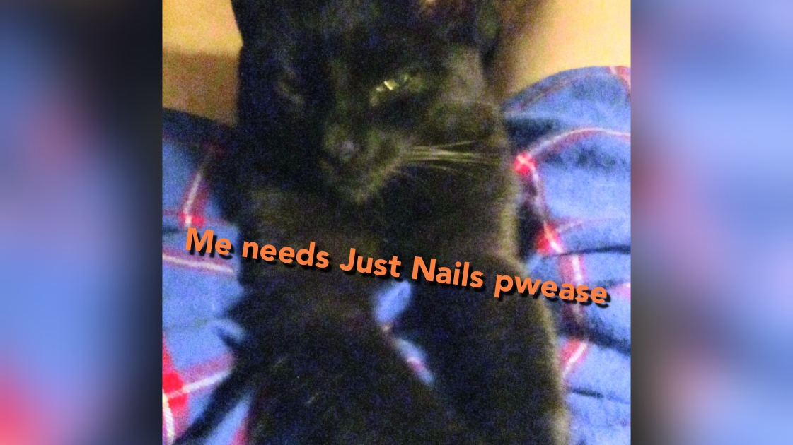 Ahhh..Just Nails