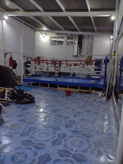 Uruz-Rico Boxing Club - C. Edmundo Castillo Manzana 016, Ejidos de San Agustin, 57840 Nezahualcóyotl, Méx., Mexico