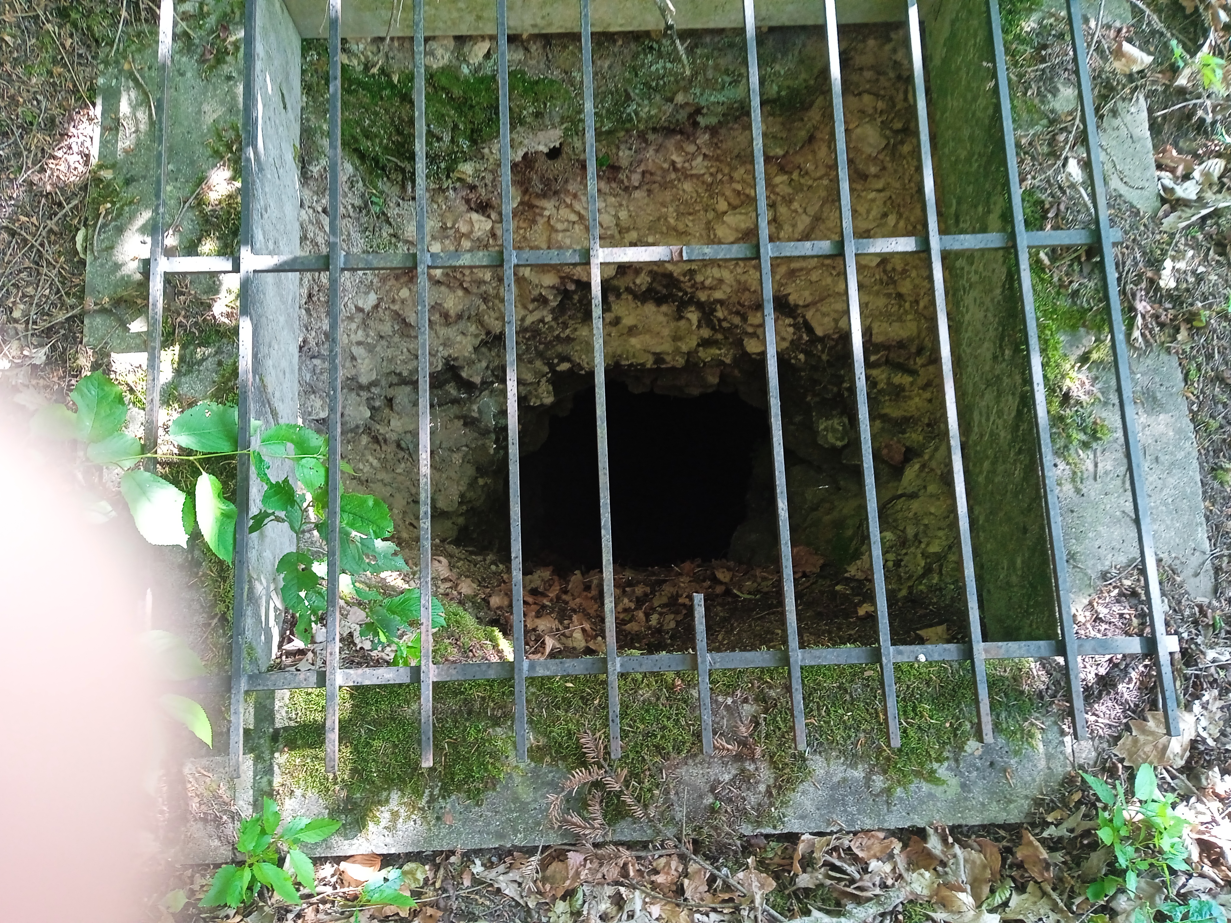Photo n° 3 de l'avis de sakaali.7 fait le 28/05/2023 à 16:30