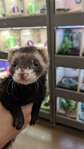 Pet Supply Store «Pet Supplies Plus», reviews and photos, 375 Paterson Ave #105, Wallington, NJ 07057, USA