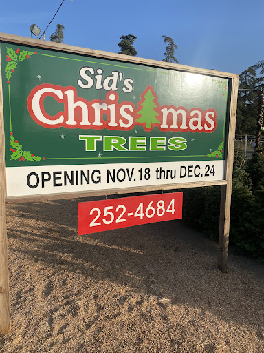 Sid‘s Christmas Tree’s
