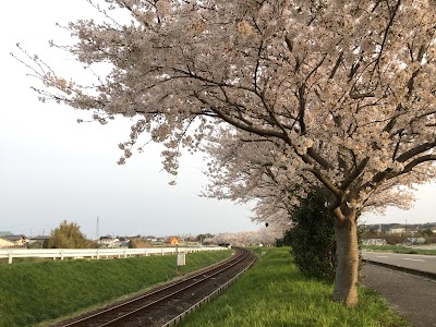 宮下公園