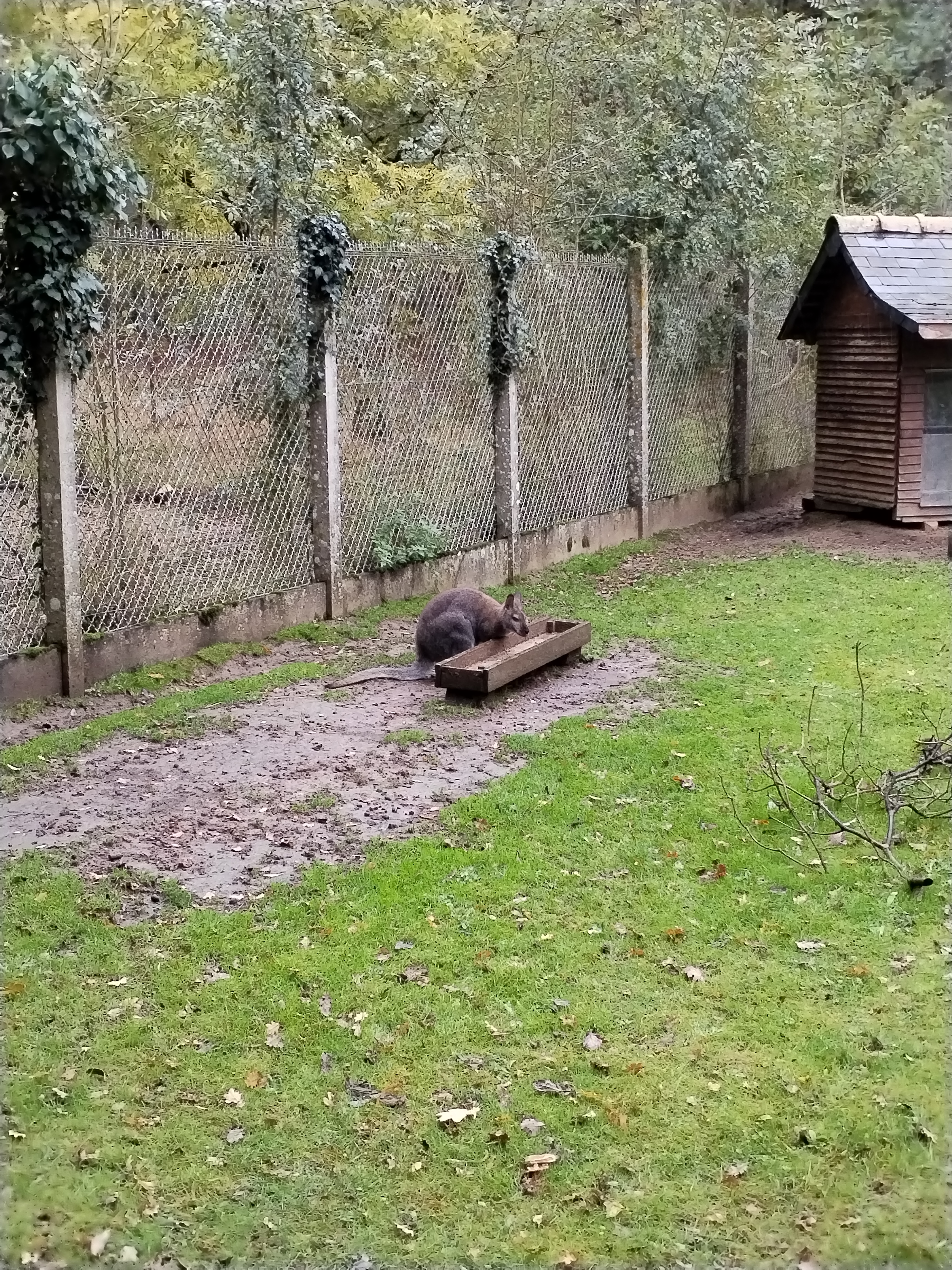 Photo n° 3 de l'avis de Xyvi. fait le 28/10/2023 à 16:10