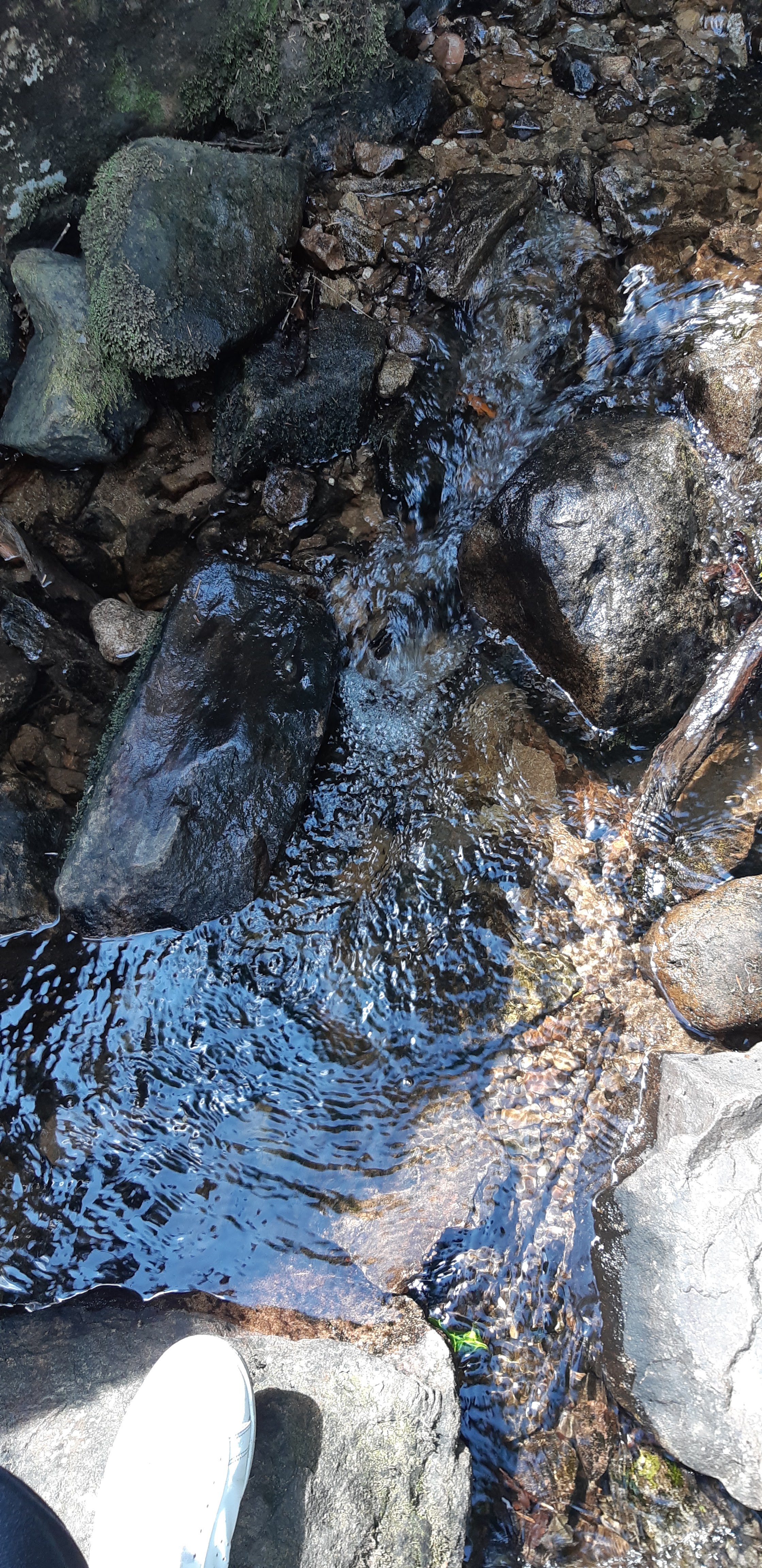 Photo n° 5 de l'avis de Anthony. fait le 03/08/2019 à 16:00