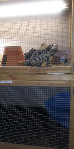 Pet Store «Tanks Pet Supply», reviews and photos, 628 S Main St, Princeton, IL 61356, USA