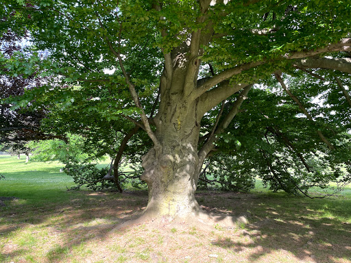 Park «Brookdale Park», reviews and photos, 473 Watchung Ave, Bloomfield, NJ 07003, USA