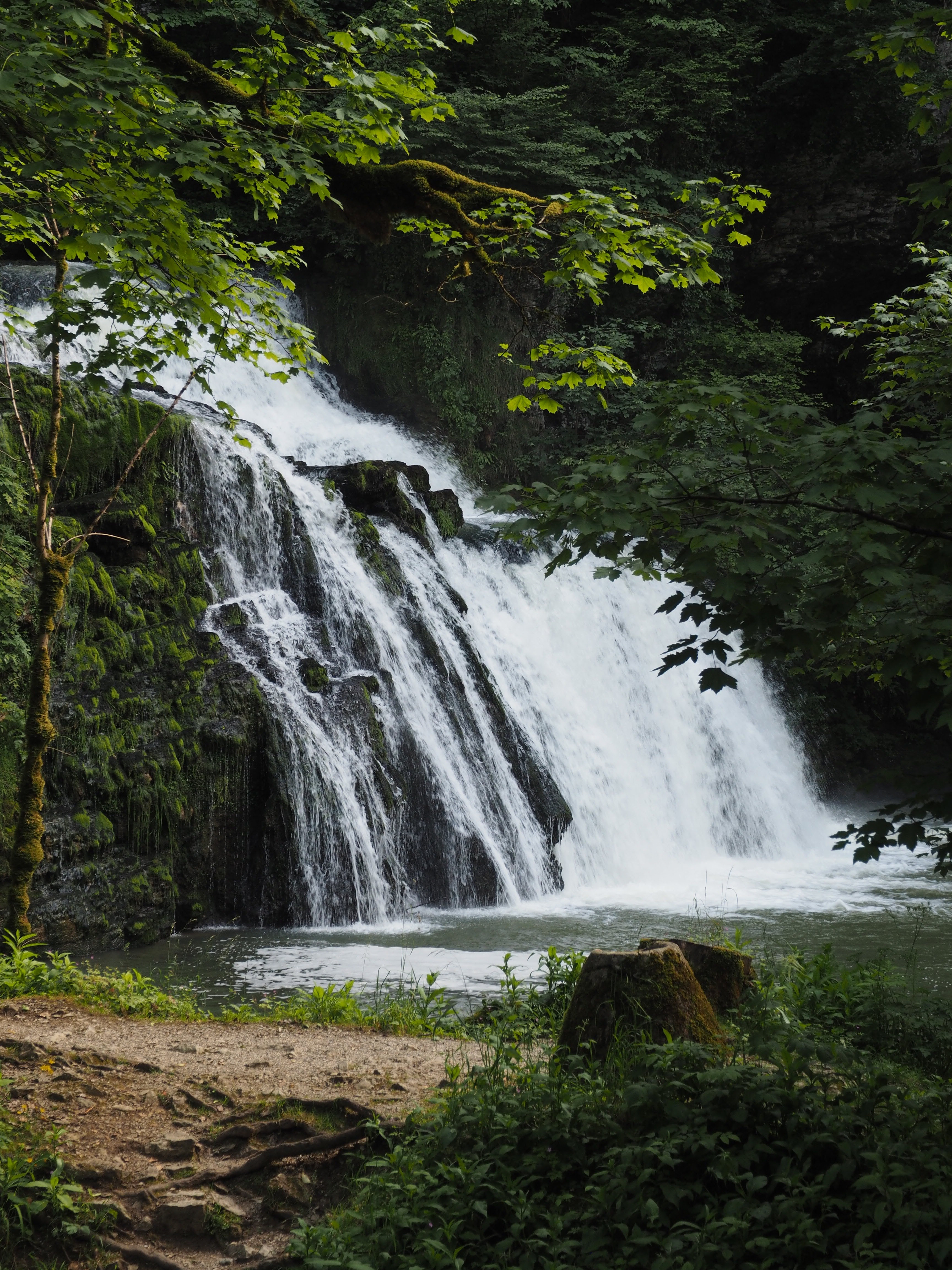 Photo n° 1 de l'avis de Aurélien.E fait le 23/06/2018 à 08:34